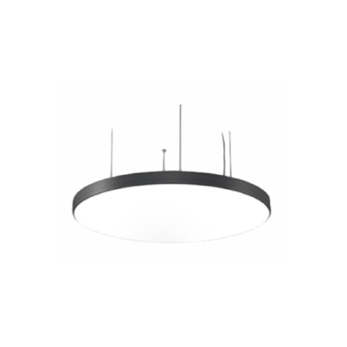 Ceiling Suspended